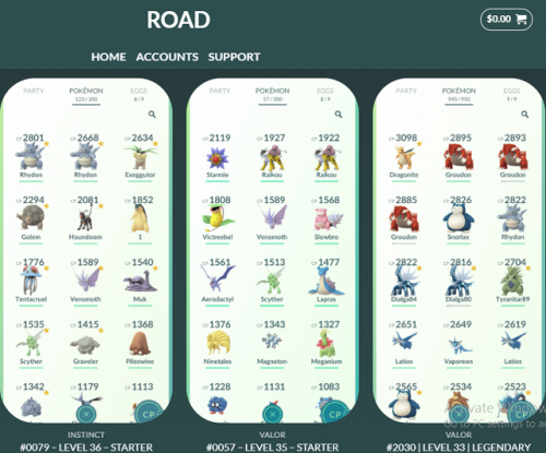 pokemon-go-accounts-31f319feee2dc2539.png