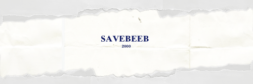 savebeeb_.png