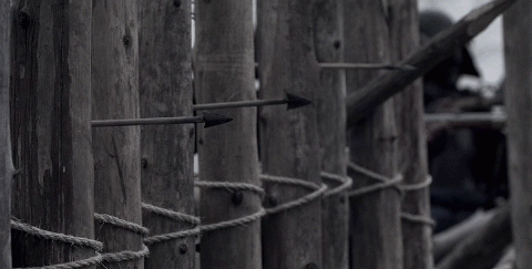 shotbyarrow2.gif