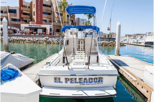 Take the big catches of marlin fishing in Cabo San Lucas with Solis Sport Fishing. We facilitate the best yachts and arrangements for on-water parties. MX: (624) 174 5312.https://solissportfishing.com/