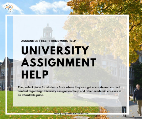 university assignment help