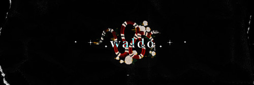 waldo