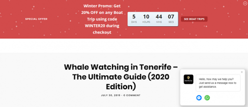 whalewatchingtenerifewhaleanddolphintripwhalewatchingtrip-1e722f3d8c0fcbdd0.png